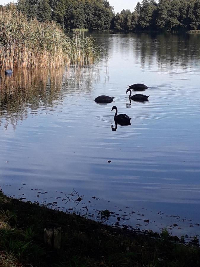 Domek u Janiny Czaplinek Bagian luar foto