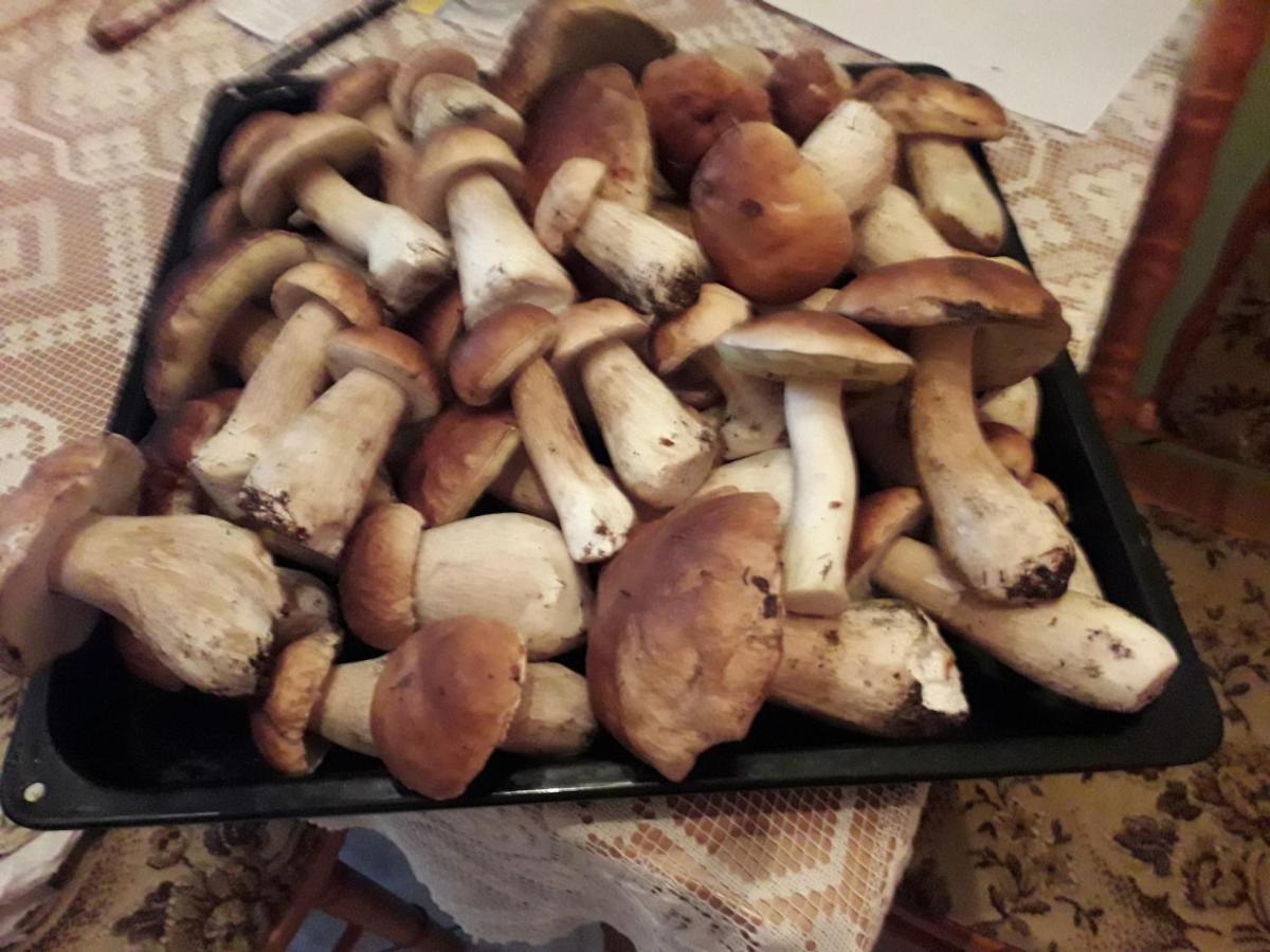 Domek u Janiny Czaplinek Bagian luar foto